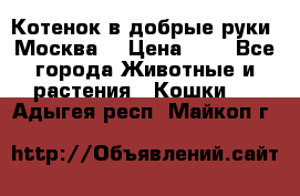 Котенок в добрые руки. Москва. › Цена ­ 5 - Все города Животные и растения » Кошки   . Адыгея респ.,Майкоп г.